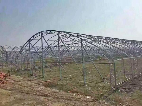 日光温室建设应符合设计标准？